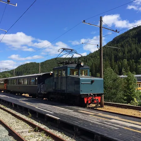 Hotel Bergmannshuset *