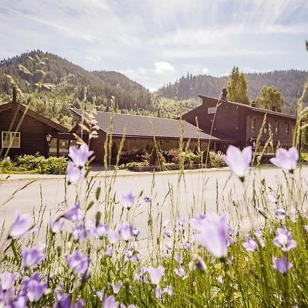 Bergmannshuset Hotel